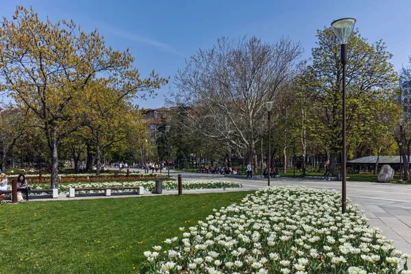 Sofya Bulgaristan Nisan 2018 Sofya Çiçek Bahçesi Ulusal Kültür Sarayı — Stok fotoğraf