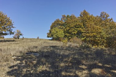Şaşırtıcı sonbahar manzara Cherna Gora (Karadağ) Dağı, Pernik bölge, Bulgaristan