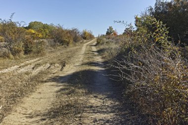 Şaşırtıcı sonbahar manzara Cherna Gora (Karadağ) Dağı, Pernik bölge, Bulgaristan