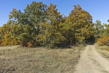 Cherna Gora (Monte Negro) dağının sonbahar panoraması, Pernik Bölgesi, Bulgaristan