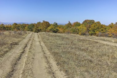 Cherna Gora (Monte Negro) dağının sonbahar panoraması, Pernik Bölgesi, Bulgaristan
