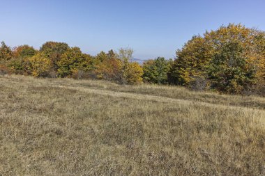 Cherna Gora (Monte Negro) dağının sonbahar panoraması, Pernik Bölgesi, Bulgaristan