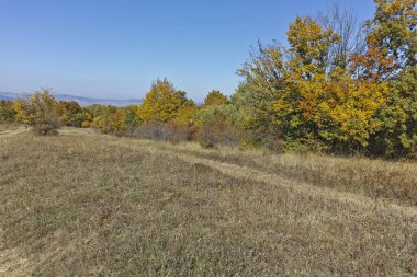 Cherna Gora (Monte Negro) dağının sonbahar panoraması, Pernik Bölgesi, Bulgaristan