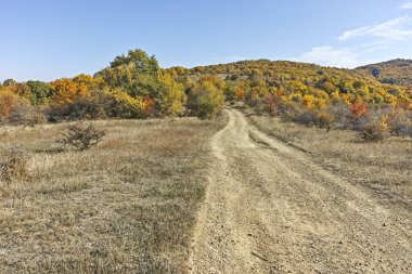 Cherna Gora (Monte Negro) dağının sonbahar panoraması, Pernik Bölgesi, Bulgaristan