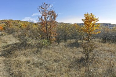 Cherna Gora (Monte Negro) dağının sonbahar panoraması, Pernik Bölgesi, Bulgaristan
