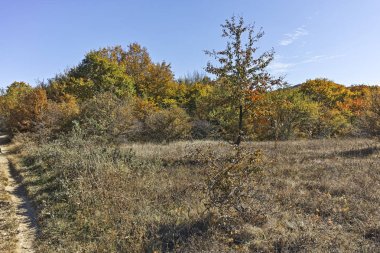 Cherna Gora (Monte Negro) dağının sonbahar panoraması, Pernik Bölgesi, Bulgaristan