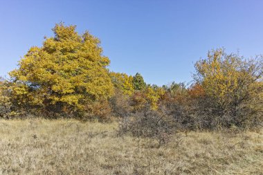 Cherna Gora (Monte Negro) dağının sonbahar panoraması, Pernik Bölgesi, Bulgaristan