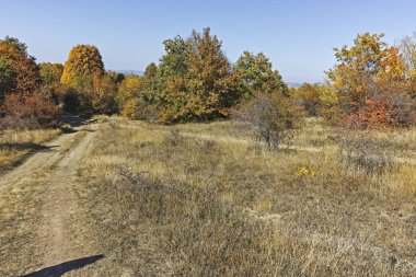 Cherna Gora (Monte Negro) dağının sonbahar panoraması, Pernik Bölgesi, Bulgaristan