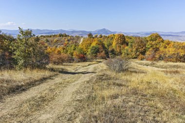 Cherna Gora (Monte Negro) dağının sonbahar panoraması, Pernik Bölgesi, Bulgaristan