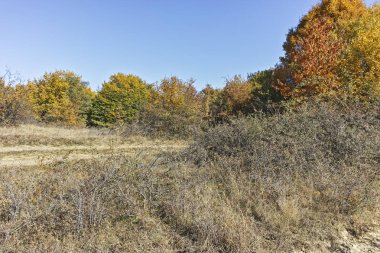 Cherna Gora (Monte Negro) dağının sonbahar panoraması, Pernik Bölgesi, Bulgaristan