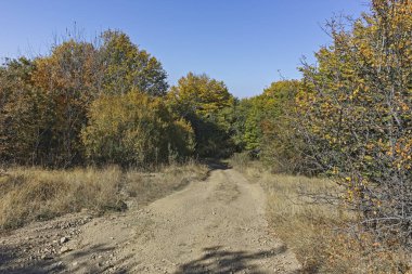 Cherna Gora (Monte Negro) dağının sonbahar panoraması, Pernik Bölgesi, Bulgaristan