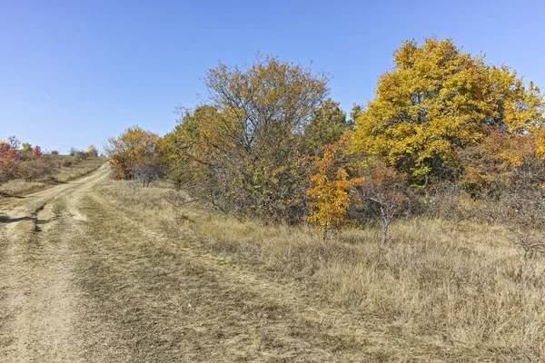 Cherna Gora (Monte Negro) dağının sonbahar panoraması, Pernik Bölgesi, Bulgaristan