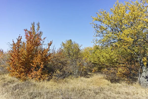 Cherna Gora (Monte Negro) dağının sonbahar panoraması, Pernik Bölgesi, Bulgaristan
