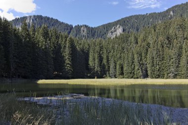 Bulgaristan 'ın Smolyan Bölgesi, Rodop Dağları' ndaki Grassy (Trevistoto) Smolyan Gölü manzarası