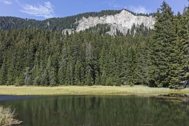 Bulgaristan 'ın Smolyan Bölgesi, Rodop Dağları' ndaki Grassy (Trevistoto) Smolyan Gölü manzarası