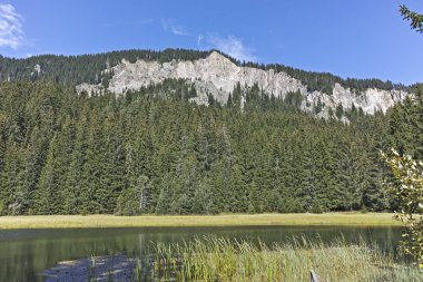 Bulgaristan 'ın Smolyan Bölgesi, Rodop Dağları' ndaki Grassy (Trevistoto) Smolyan Gölü manzarası