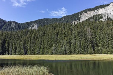 Bulgaristan 'ın Smolyan Bölgesi, Rodop Dağları' ndaki Grassy (Trevistoto) Smolyan Gölü manzarası
