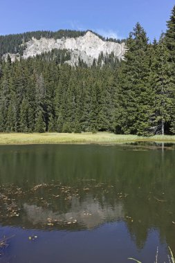 Bulgaristan 'ın Smolyan Bölgesi, Rodop Dağları' ndaki Grassy (Trevistoto) Smolyan Gölü manzarası