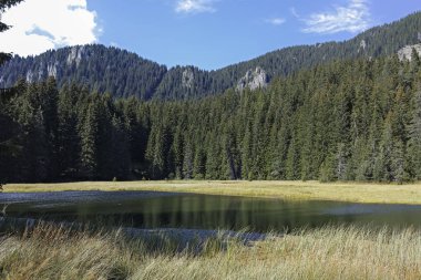 Bulgaristan 'ın Smolyan Bölgesi, Rodop Dağları' ndaki Grassy (Trevistoto) Smolyan Gölü manzarası