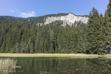 Bulgaristan 'ın Smolyan Bölgesi, Rodop Dağları' ndaki Grassy (Trevistoto) Smolyan Gölü manzarası
