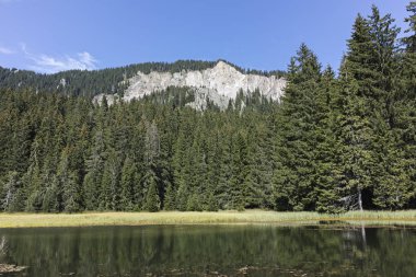 Bulgaristan 'ın Smolyan Bölgesi, Rodop Dağları' ndaki Grassy (Trevistoto) Smolyan Gölü manzarası