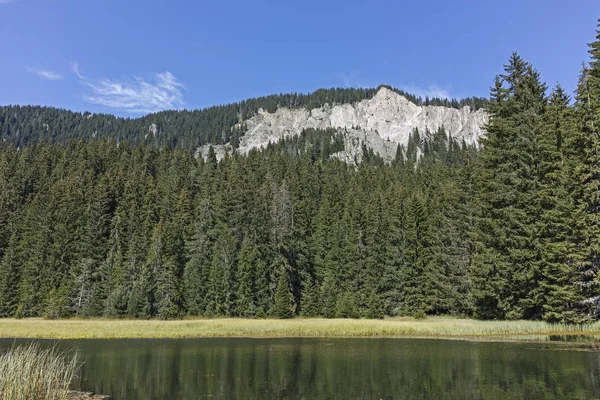 Paisagem Lago Smolyan Grassy Trevistoto Rhodope Mountains Smolyan Region Bulgária — Fotografia de Stock