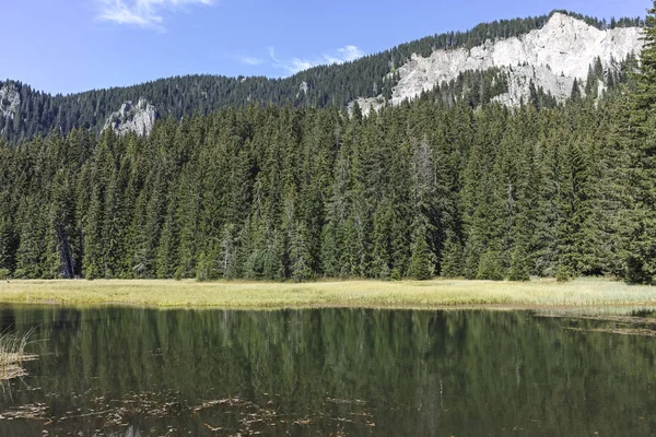 Krajina Grassy Trevistoto Smolyan Lake Rhodope Mountains Smolyan Region Bulharsko — Stock fotografie