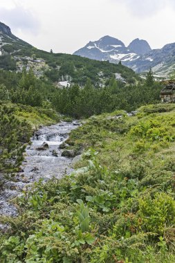 Malyovitsa zirvesi ve Malyoviska nehri yakınındaki manzara, Rila Dağı, Bulgaristan