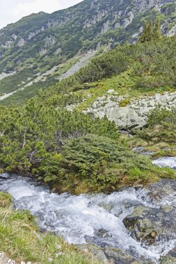 Malyovitsa zirvesi ve Malyoviska nehri yakınındaki manzara, Rila Dağı, Bulgaristan