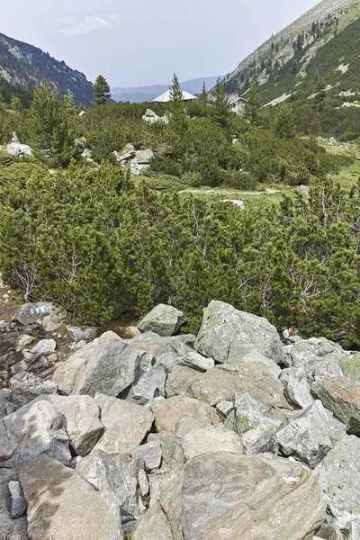 Paisaje Cerca Del Pico Malyovitsa Río Malyoviska Montaña Rila Bulgaria —  Fotos de Stock