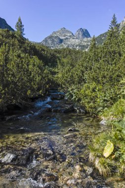 Malyovitsa zirvesinin yaz manzarası, Rila Dağı