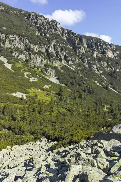 Valle del río Malyoviska, Montaña Rila, Bulgaria — Foto de Stock