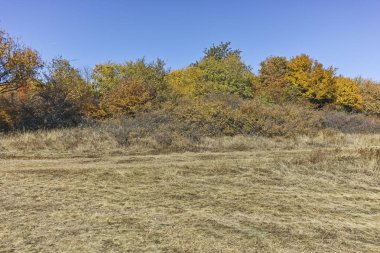 Cherna Gora dağı manzarası, Bulgaristan