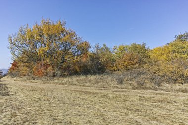 Cherna Gora dağı manzarası, Bulgaristan