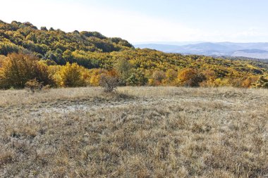 Cherna Gora dağı manzarası, Bulgaristan