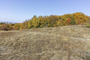 Cherna Gora dağı manzarası, Bulgaristan