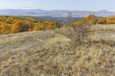 Cherna Gora dağı manzarası, Bulgaristan