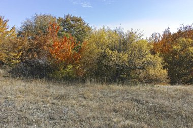 Cherna Gora dağı manzarası, Bulgaristan