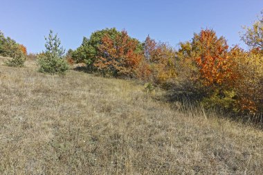 Cherna Gora dağı manzarası, Bulgaristan