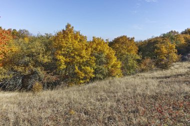 Cherna Gora dağı manzarası, Bulgaristan