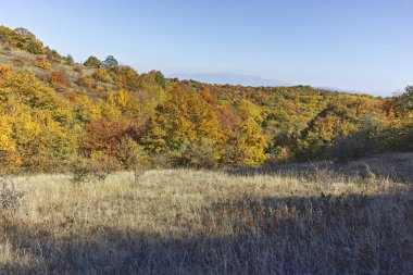 Cherna Gora dağı manzarası, Bulgaristan