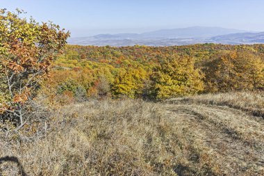 Cherna Gora dağı manzarası, Bulgaristan