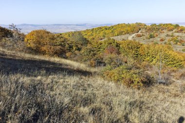 Cherna Gora dağı manzarası, Bulgaristan