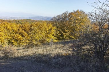 Cherna Gora dağı manzarası, Bulgaristan