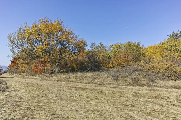 Cherna Gora dağı manzarası, Bulgaristan