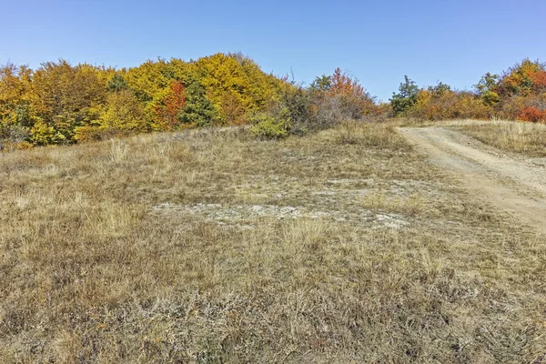 Cherna Gora dağı manzarası, Bulgaristan