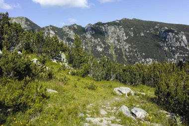 Malyoviska nehir Vadisi, Rila Dağı, Bulgaristan