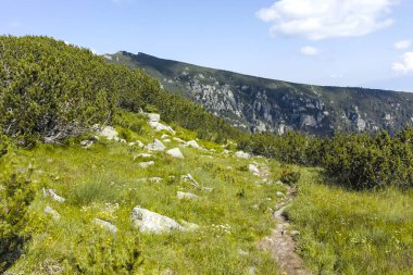 Malyoviska nehir Vadisi, Rila Dağı, Bulgaristan