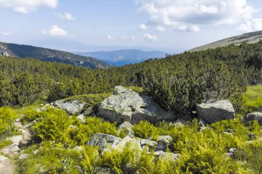 Malyoviska nehir Vadisi, Rila Dağı, Bulgaristan