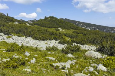 Malyoviska nehir Vadisi, Rila Dağı, Bulgaristan